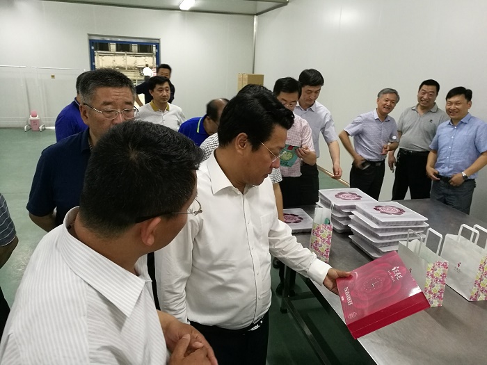 平阴县领导焦卫星,宋广炎,范嘉池,县经信局局长张明忠参加本次调研.